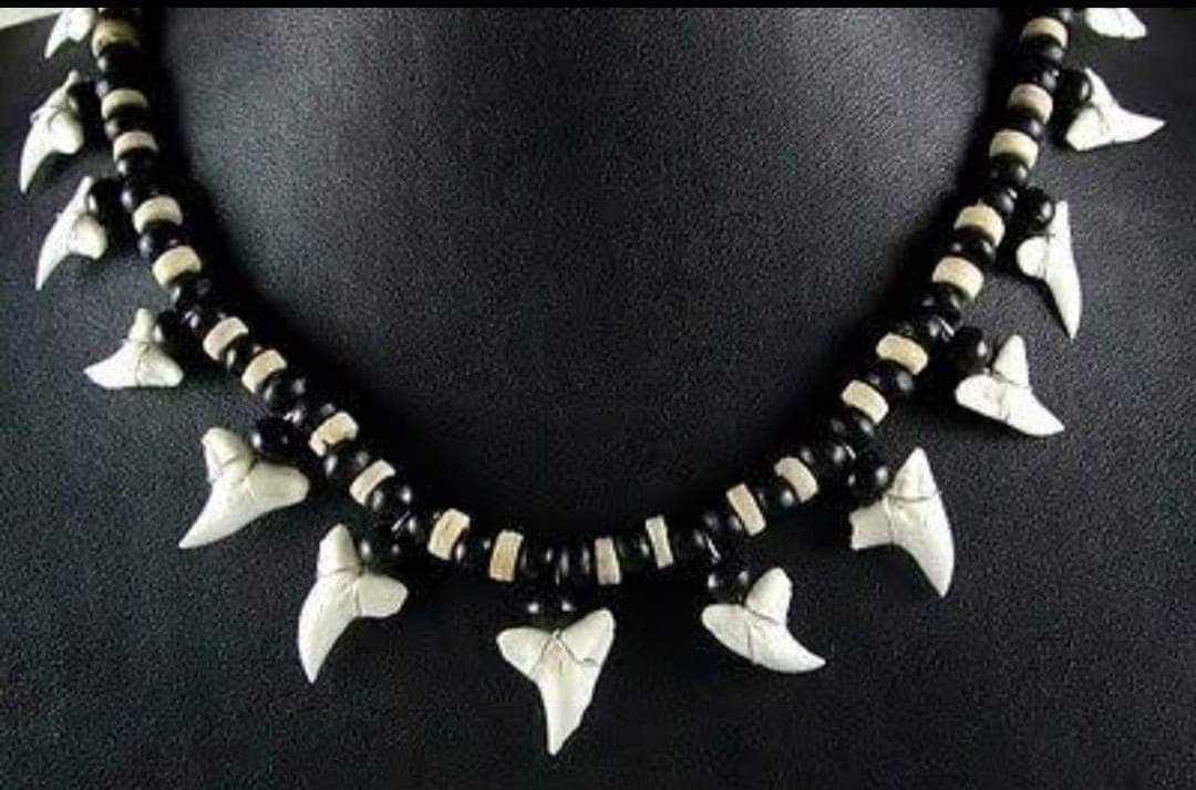 Shark Tooth Necklace — view 1