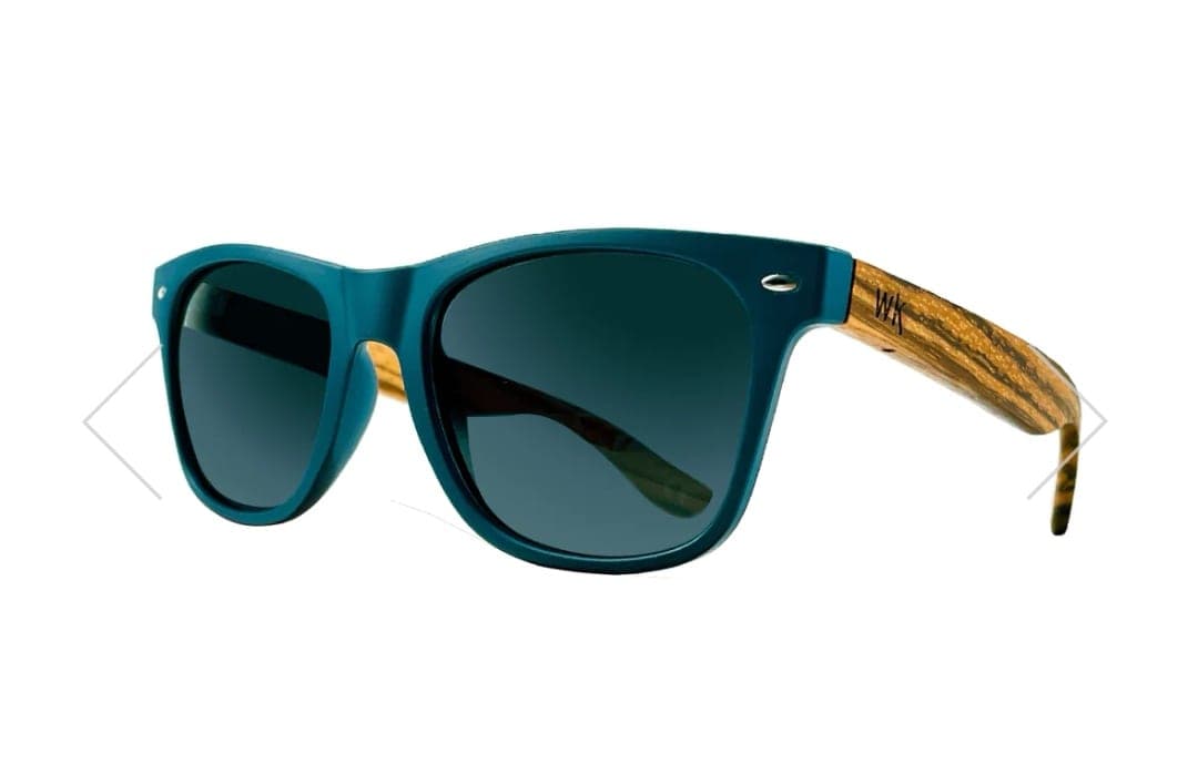 Polarised Dark blue Sunglasses